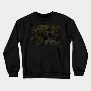 FORBIDDEN FRUITS Crewneck Sweatshirt